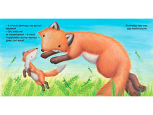 ������ ���� ����1.jpg