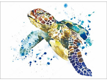 P16 30�40 ���� 646 �.jpg