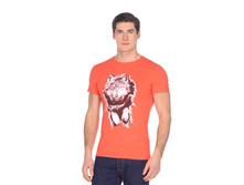 35126 ������.jpg