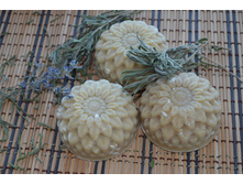 ���� � ����������