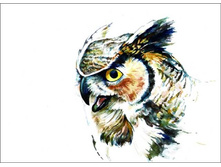 Le016 30�40 ���� 550 �.jpg