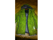 ������ ������