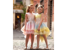 ���� ���������