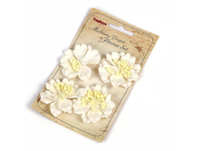 �������� �����, ����� 3 ��, ���� 5�� SCB300103