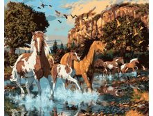 Gx5722 40�50 348 �.jpg