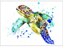 Le015 30�40 ���� 550 �.jpg