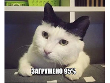 ��������� 95%