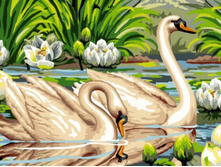 Ex5288 30�40 ���� 295 �.jpg