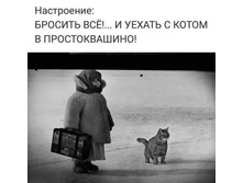 ���������� - ������� �ӣ! ... � ������ � ����� � �������������!