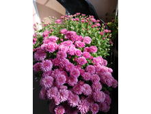 IMG 20181003 111413.jpg