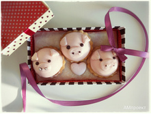 IMG 20181201 151136.jpg