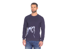 3920 �����.jpg