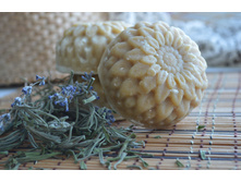 ���� � ����������