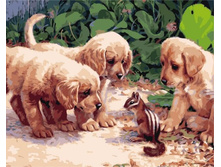 Mg1132 40�50 465 � �������.jpg