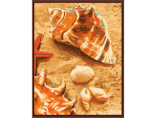 Ex5091 30�40 ���� 225 �.jpg