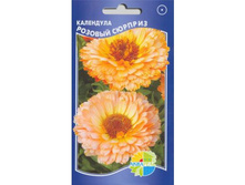 ��������� ������� �������