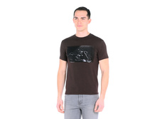 3574 ����������.jpg