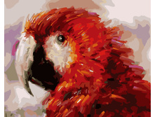 Gx8214 40�50 348 �.jpg