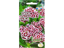 �������� �������� ������� ������.jpg