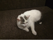 IMG 20190110 213120.jpg