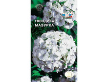 �������� �������� �������.jpg