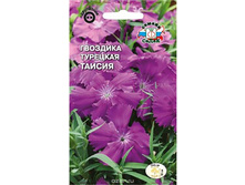 �������� �������� ������.jpg