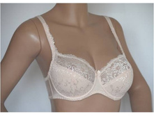 194, "���� ������" ����� EMILIA (�/�������)