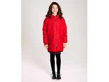 ���. ����