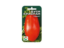 ���� �������