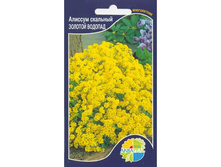 ������� �������� ������� �������