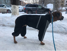 50018948 340415019887577 8304206876111798272 n.jpg