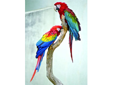 Lep018 30�40 ���� 822 �.jpg