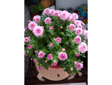 IMG 20181015 092430.jpg