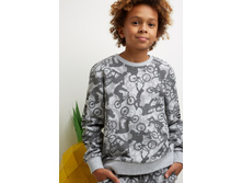 20110100170   Patison   �������.jpg