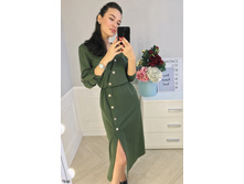 Plate-midi-7046.jpg  1295���