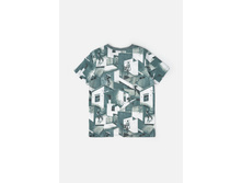 20110110158   WILLIS   �������(����).jpg