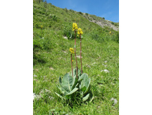 ��������� �������