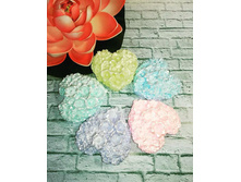 �������� ���������