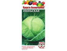 ������� ������������ ��������