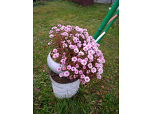 IMG 20181026 150248.jpg