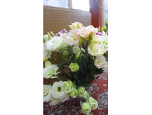 ���� �� ����� �� � ������ �������