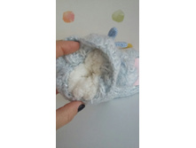 20181009 082543-1.jpg