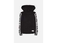 20110320041   Labrador   ������(���).jpg