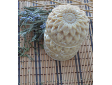 ���� � ����������