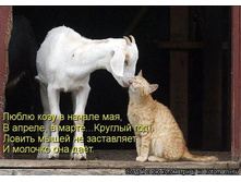 ����� � ����