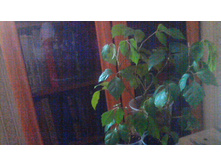 ������(�������)