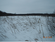 DSCN8267.JPG