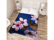 ��������� �������� 14292.jpg