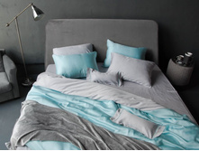 ���������� ���������� ����� ������ Silver-Topaz