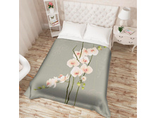 ��������� �������� 14057.jpg